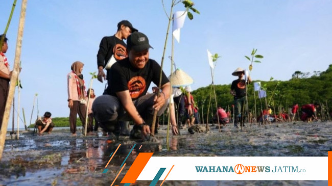 PLN Tanam 16 Ribu Bakau Di Pantai Taman Nasional Baluran Wahana News