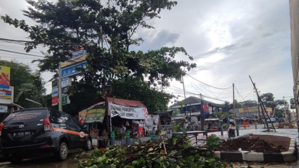 Akibat Hujan-Angin Kencang, Mobil dan Kabel Listrik di Bogor Tertimpa Dahan