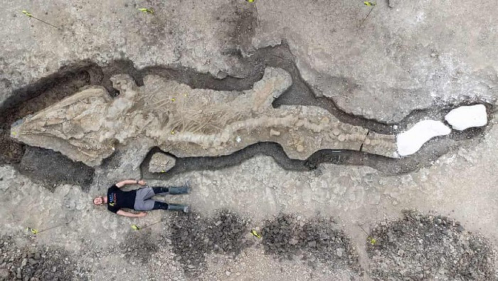 Gede Banget! Ini Dia Fosil Naga Laut 180 Juta Tahun yang Ditemukan di Inggris