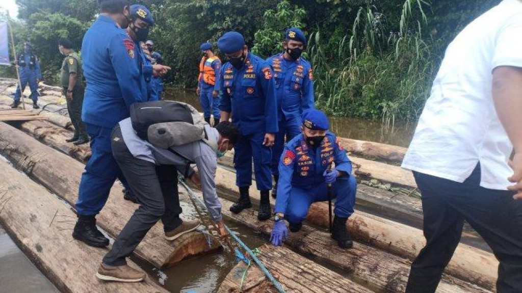 Ribuan Batang Kayu Log Hasil Ilegal Loging, Diamankan Polisi di Kaltim