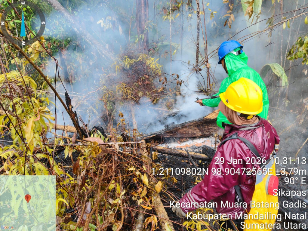 Banjir dan Karhutla Warnai Akhir Januari, BNPB Imbau Waspada Cuaca Ekstrem