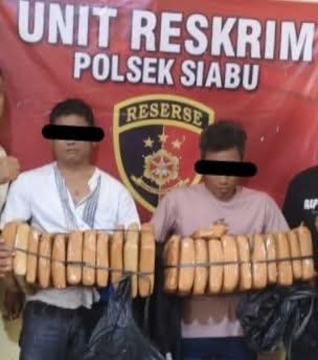Dua Orang Pemuda Beserta Barang Bukti Ganja Ditangkap Polsek Siabu