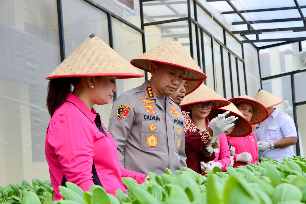 Dukung Ketahanan Pangan Nasional, Polrestabes Medan Tanam Melon Hidroponik dan Panen Perdana Sawi