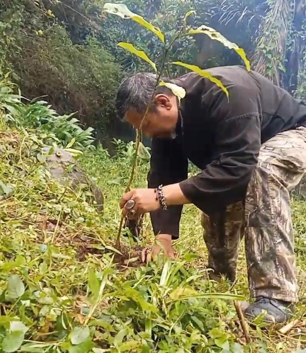 GNN Sumedang Lakukan Penanaman 100 Pohon di DAS Cimanuk, Jaga Kelestarian Sungai Cipicung