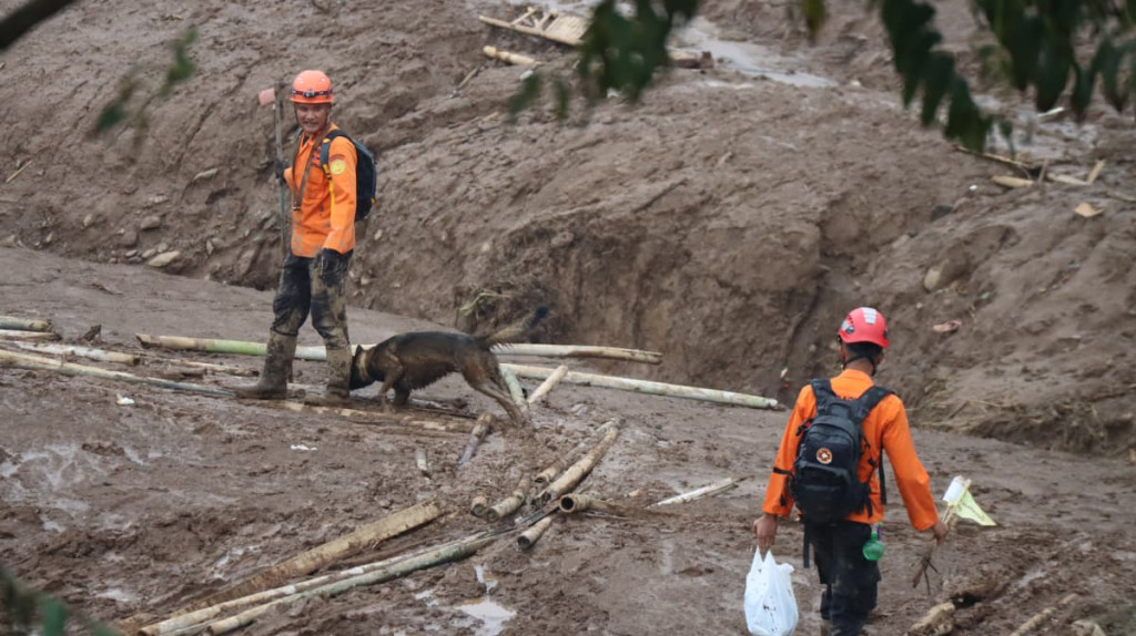 Hari Ketiga Operasi SAR Longsor Pasirlangu, Lima Excavator dan Anjing K9 Dikerahkan