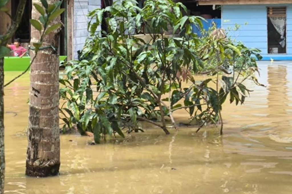 IKN Dikepung Banjir Awal 2026, Mentawir hingga Jalan Nasional Terendam