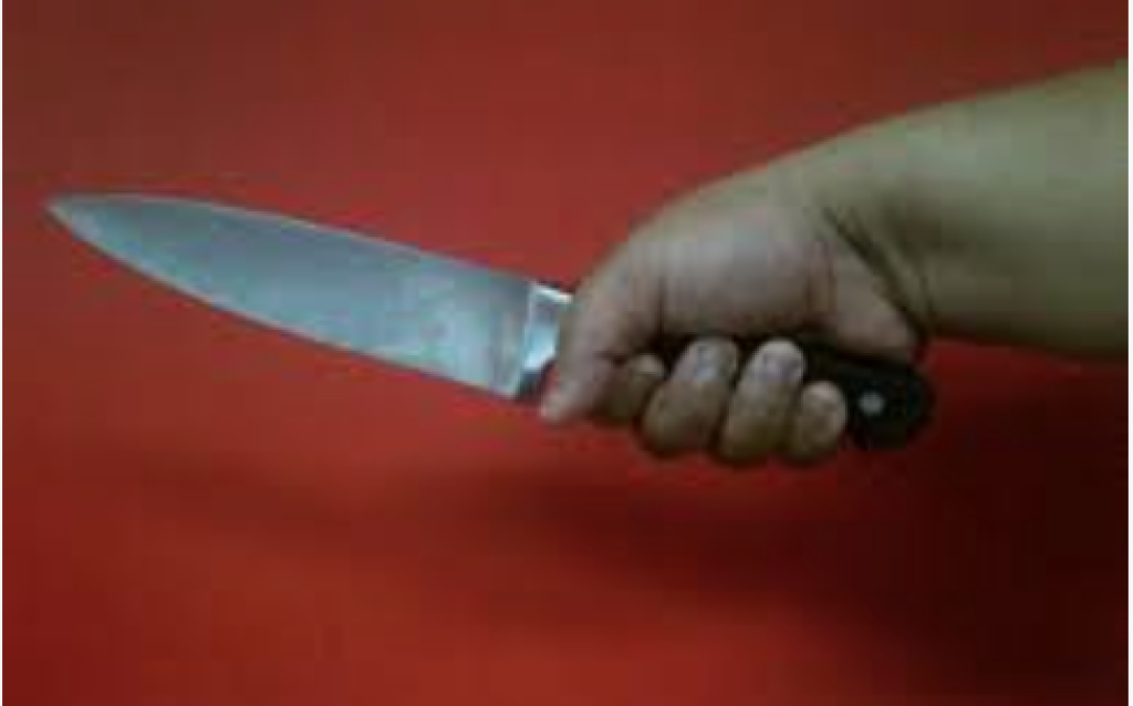 Kekerasan Rumah Tangga dan Game Online, Fakta Lengkap Kasus Siswi SD Bunuh Ibu