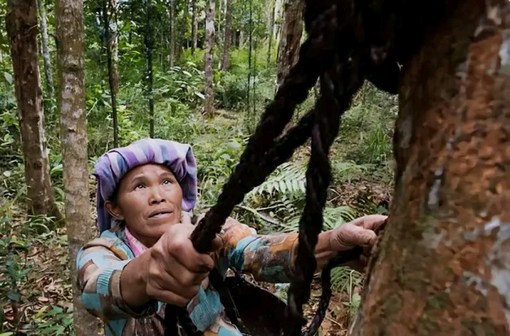 Mengarahkan Mata Hati Kepada Allah Pencipta dan Pemilik Alam Semesta
