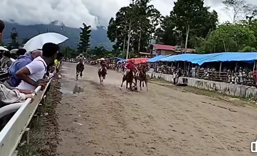 Pacu Kuda Bukitinggi Digelar Saat Bencana Sumatera, Aleg PPP Kritik Walikota: Pemborosan!!