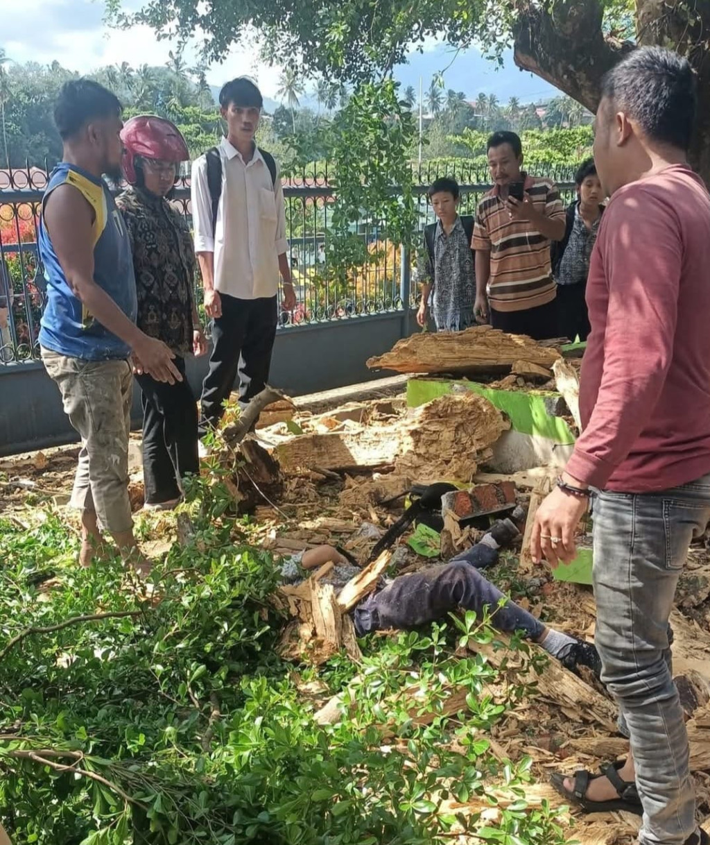 Pelajar SMP Tewas Tertimpa Pohon Tumbang di Padangsidimpuan