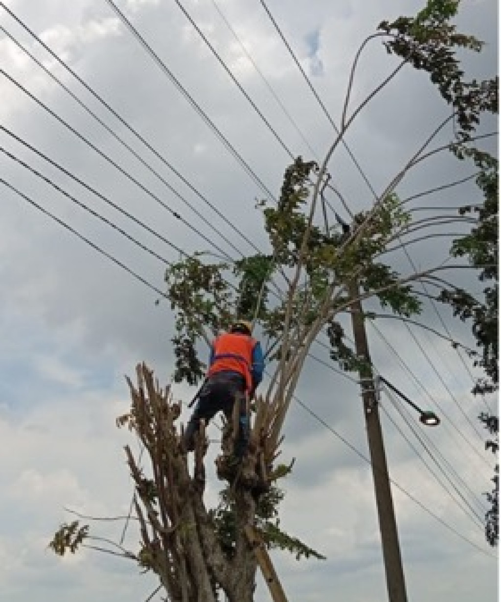 PLN UP3 Cikarang Ajak Masyarakat Aktif Laporkan Potensi Bahaya Jaringan Listrik