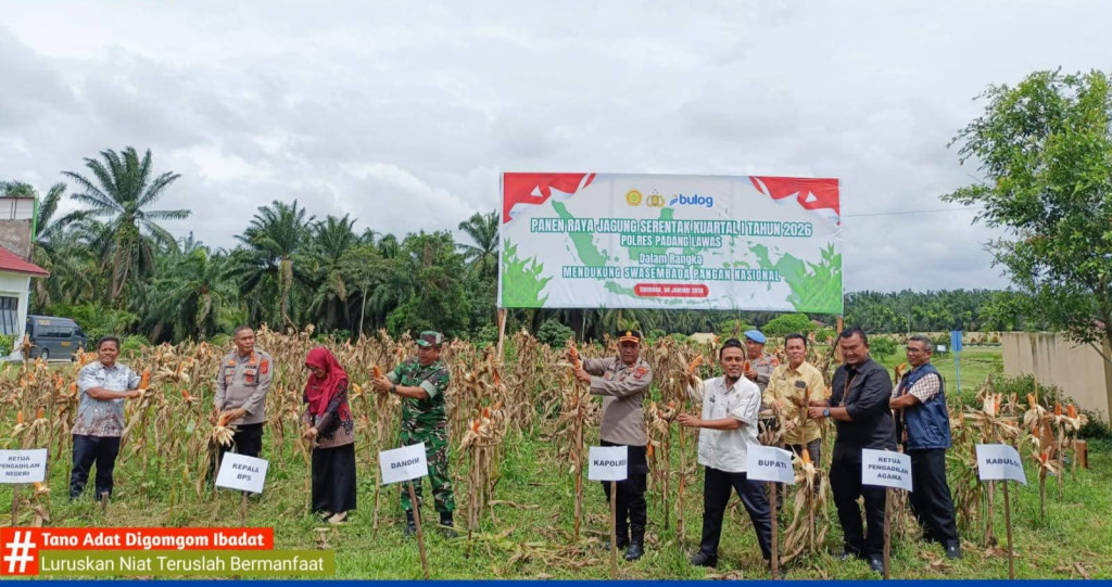 Polres dan Pemkab Palas Panen Raya Jagung Serentak Kuartal 1 Tahun 2026