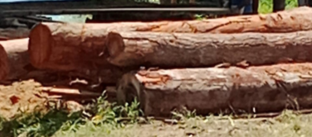 Tidak Memiliki Plang, Kilang Kayu di Desa Pariksabungan Beraktivitas Diduga Tanpa Izin