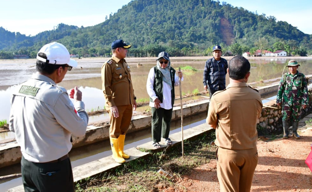 Wabup Tapteng bersama Tenaga Ahli  Menteri Pertanian Tinjau Lokasi Rehabilitasi Lahan Sawah