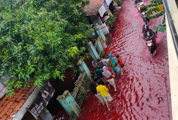 Media Asing Soroti "Banjir Merah" di Pekalongan, Ini Kata Mereka
