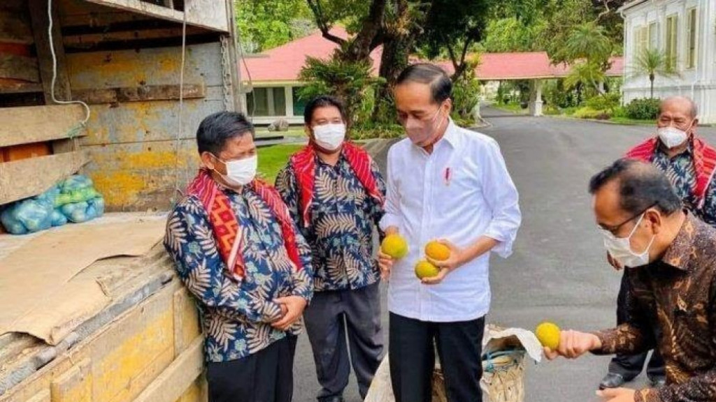 Kunjungan Hari Ketiga, Jokowi Tinjau Kampung Jeruk di Karo Sumut
