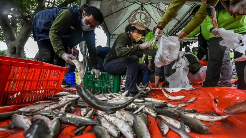 Pemkot Surabaya Bagikan Ikan Bandeng Hasil Budi Daya kepada Warga Kurang Mampu