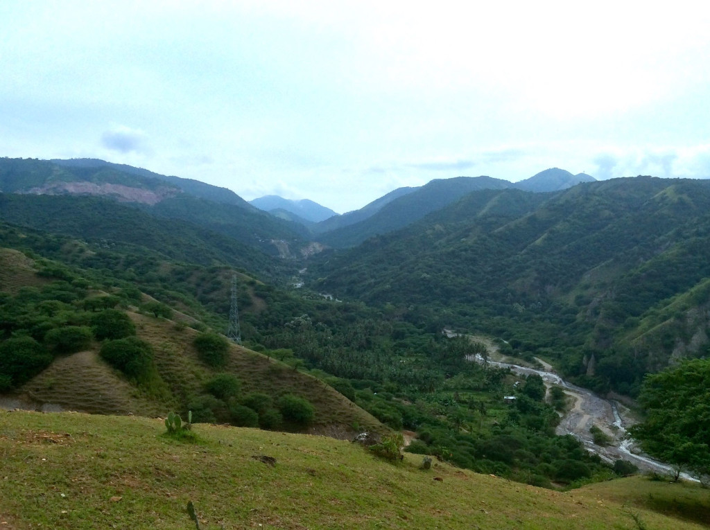 PT CPM Disegel PKH, Menambag Hutan Produksi Terbatas  di Sulteng(?)