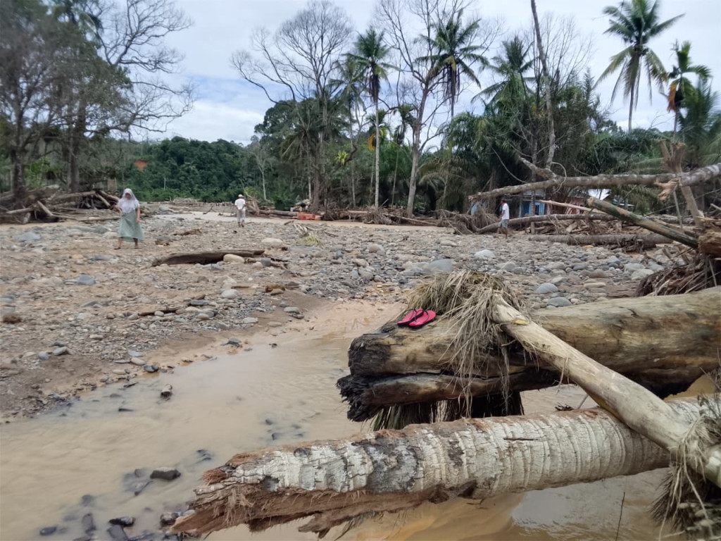 Banjir Bandang Kembali Terjang Desa Lubuk Ampolu, Ribuan Kubik Kayu Gelondongan Jadi Tamu Tak Diundang