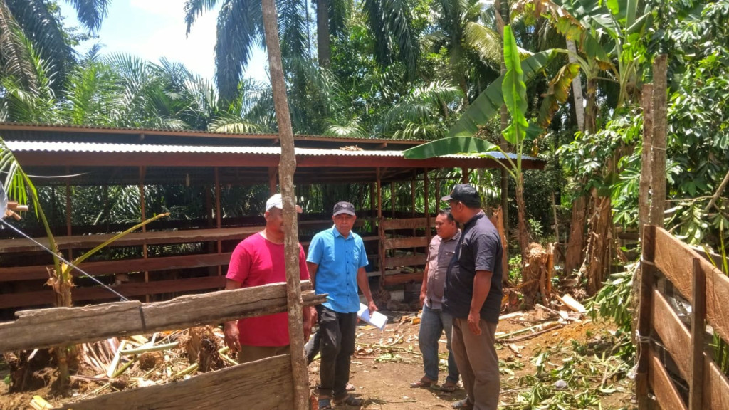 Fakta Dana Ketahanan Pangan: Awak Media dan LSM Pastikan Tidak Ada Kegiatan Fiktif di Kampong Lae Mate