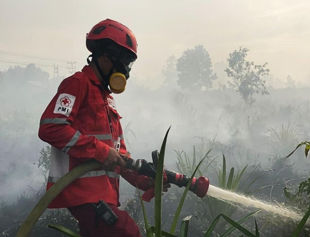 Kebakaran Hutan Meluas di Kalimantan Barat, Pemerintah Tetapkan Siaga Darurat