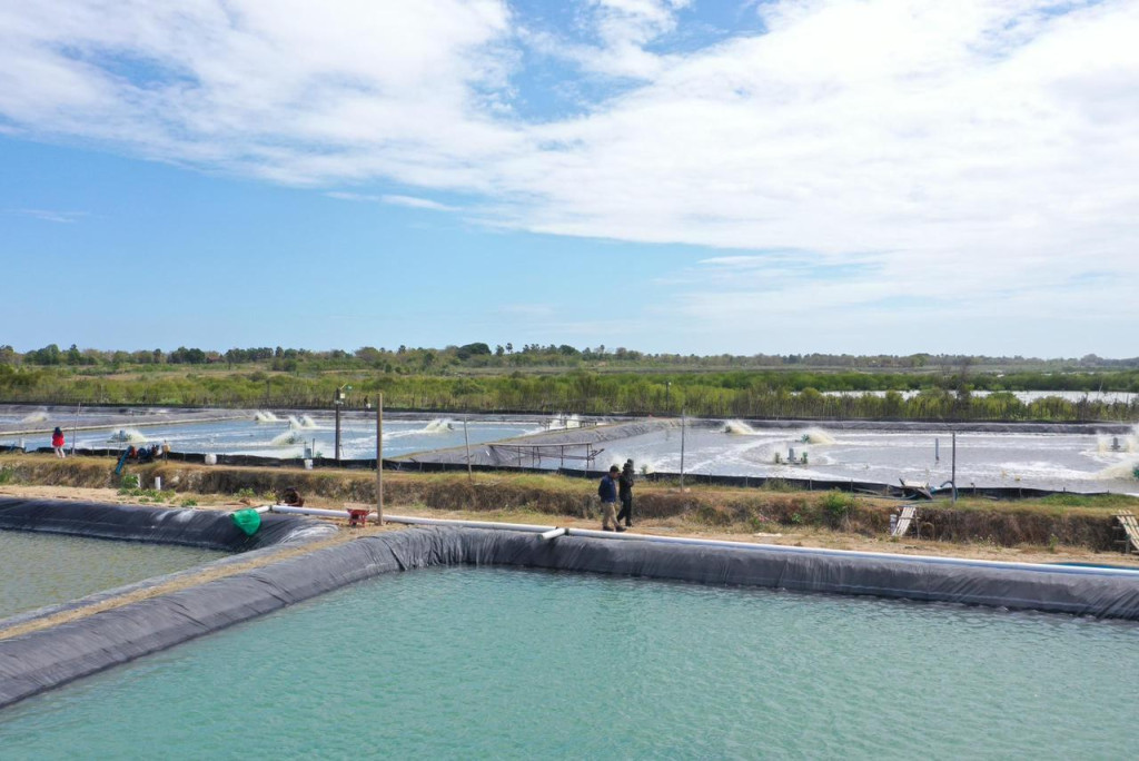 Konsumsi Listrik Nasional 2025 Tumbuh 3,75 Persen, PLN Catat Penjualan 317,69 TWh