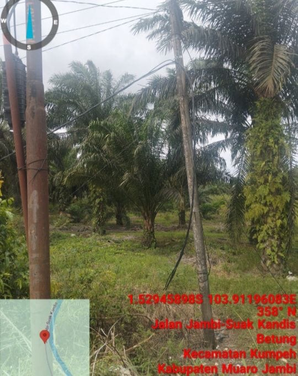 Maling Kabel Menggila di Betung! 20 Rumah Warga Gelap Gulita, Polisi Diminta Bergerak Cepat