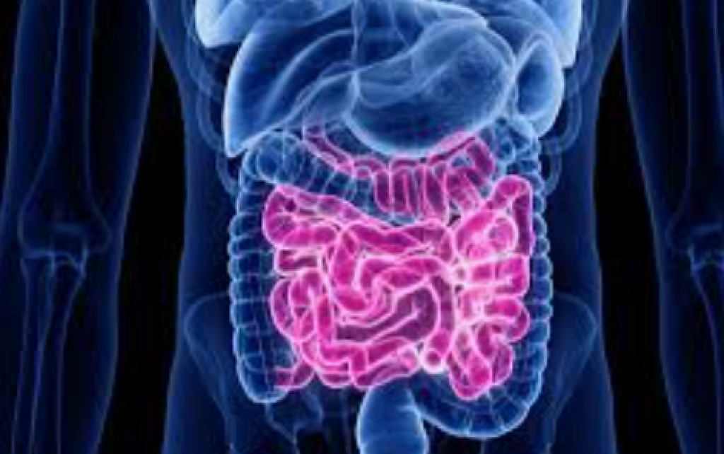 Ultra Processed Food Disorot, Studi Ungkap Risiko Kanker Usus Besar Dini pada Anak Muda