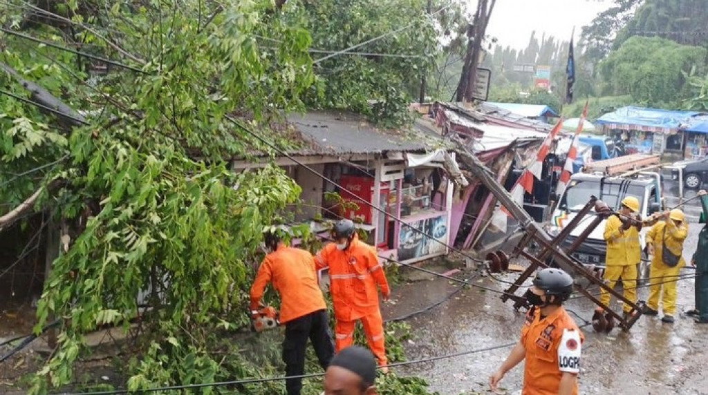Akibat Angin Kencang di Bogor, Pohon Tumbang-Tiang Listrik Patah