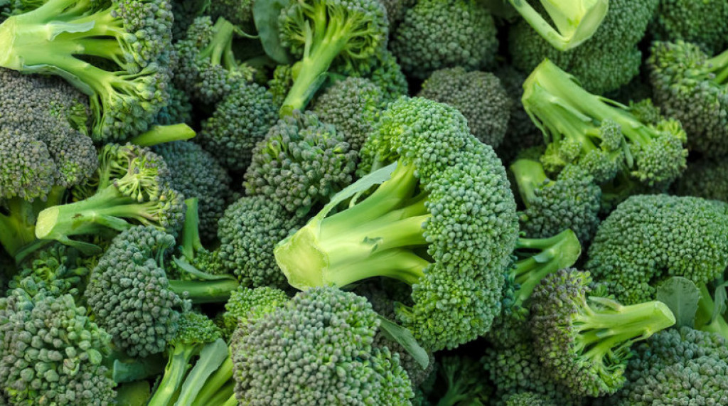 Trik Menanam Brokoli agar Panennya Melimpah