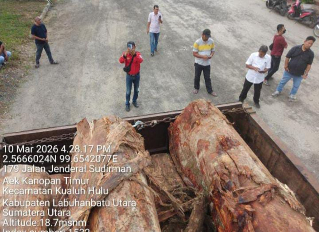 Aksi Kejar-kejaran di Jalur Lintas! Wartawan dan LSM Hadang Truk Kayu Raksasa Tanpa Plat di Aek Kanopan