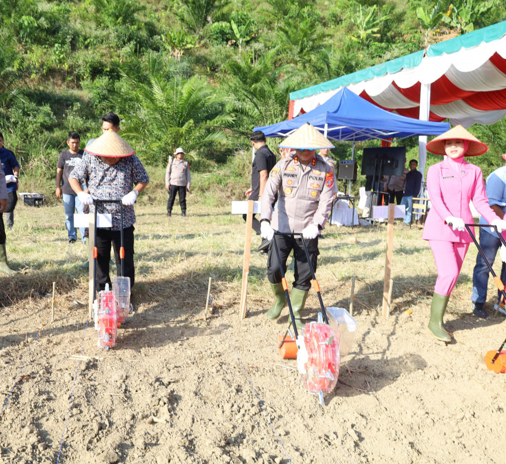 Asta Cita Presiden, Pemkab Bersama Polres Madina Gelar Tanam Jagung Serentak Kwaryal I Tahun 2026