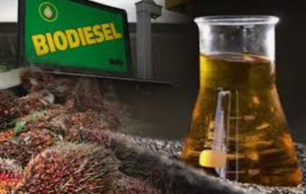 Dampak Konflik Timur Tengah, RI Genjot Efisiensi dan Percepat Program Biodiesel B50