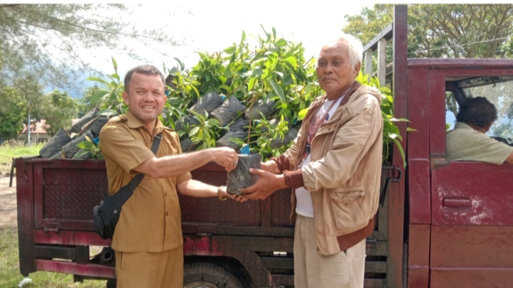 Dinas Lingkungan Hdup Samosir Beri Bantuan 1000 Batang Bibit Pohon Kepada Yayasan Pusuk Buhit Dalam Program Sejuta Pohon