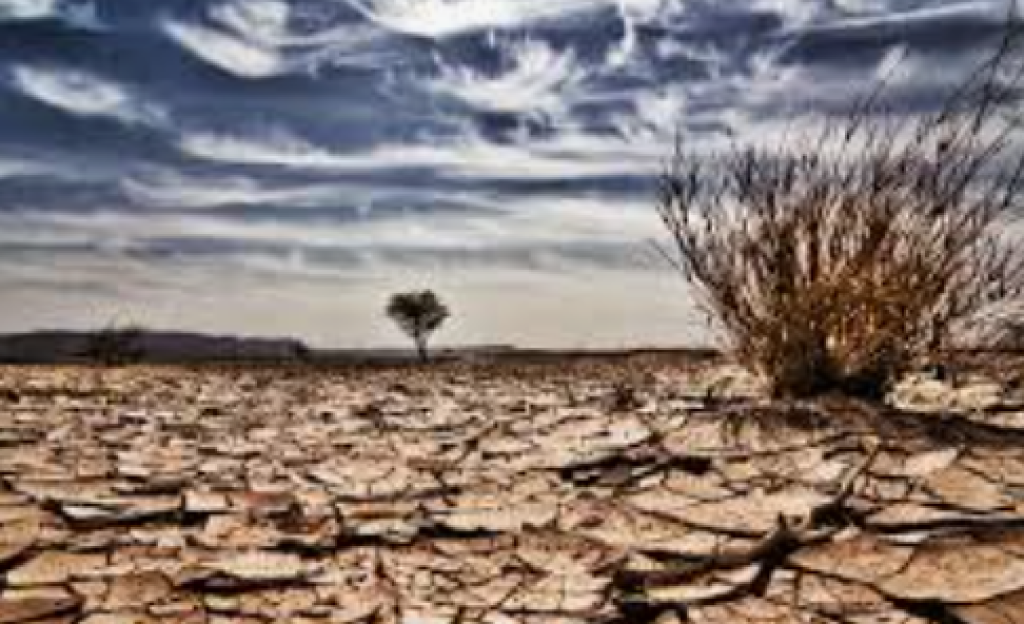 Godzilla El Nino Intai Indonesia, BRIN Peringatkan Kemarau Ekstrem 2026