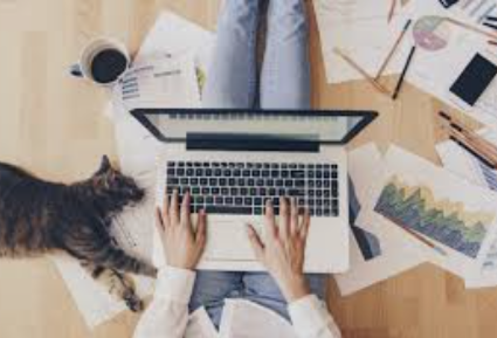 Hemat Energi atau Ganggu Produktivitas? WFH Segera Diumumkan