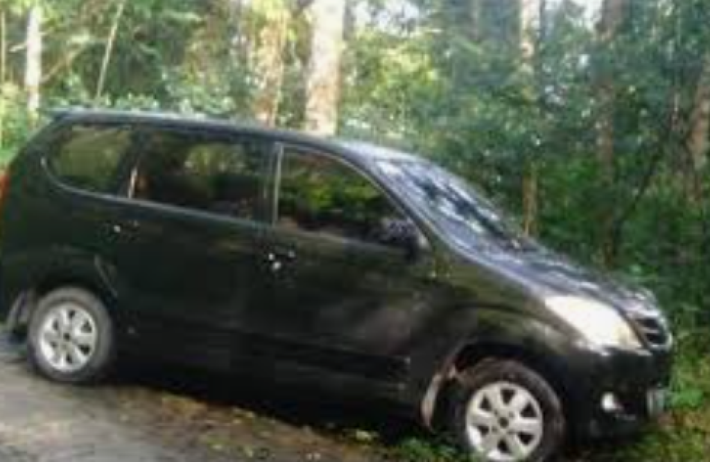 Ikuti Google Maps, Pemudik Banyumas Nyasar ke Hutan Pemalang