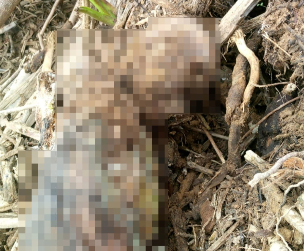 Kerangka Manusia Ditemukan di Pinggir Sungai Garoga, Diduga Korban Banjir Bandang 2025