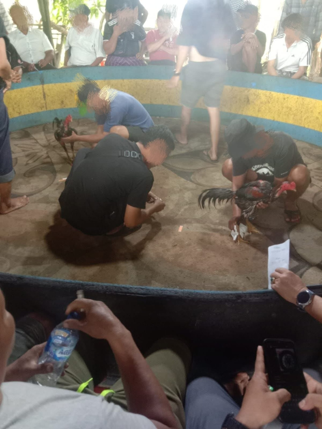 Nodai Ramadhan, Judi Sabung Ayam di Pasar 4 Marelan Eksis Beroperasi, APH Diduga Tutup Mata