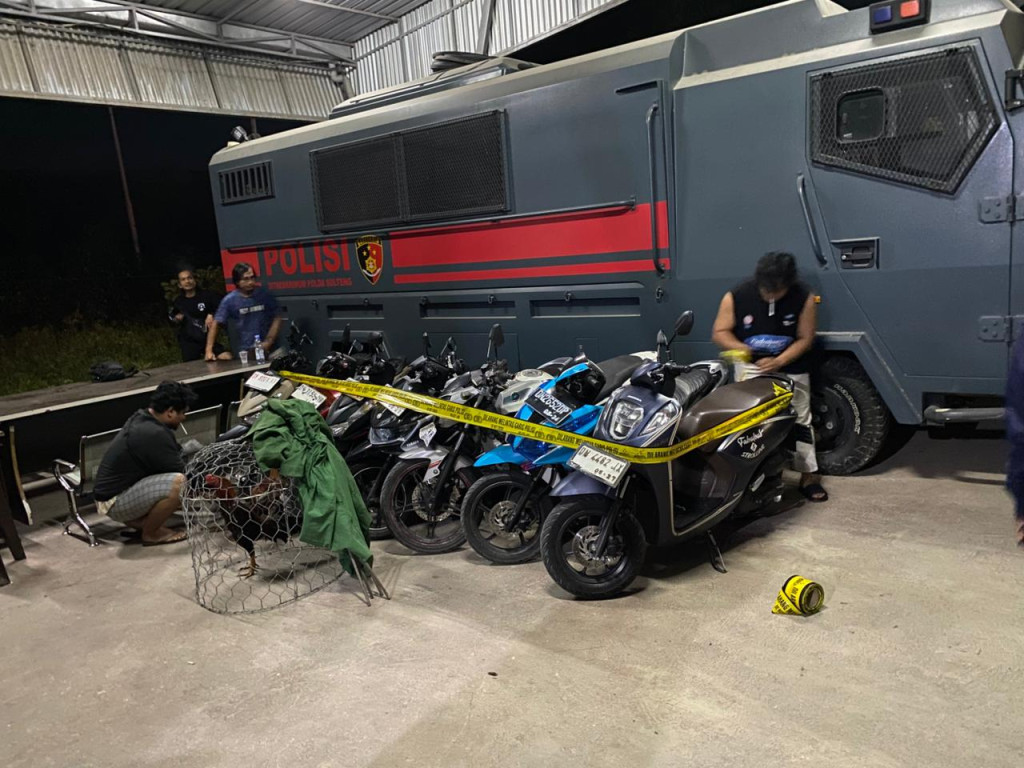 Satgas Pekat I Tinombala 2026 Polda Sulteng Bongkar Praktik Judi Sabung Ayam di Kota Palu