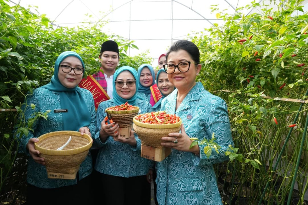 Panen Raya 807 Titik di DKI, Jakarta Timur Jadi Role Model Pertanian Perkotaan