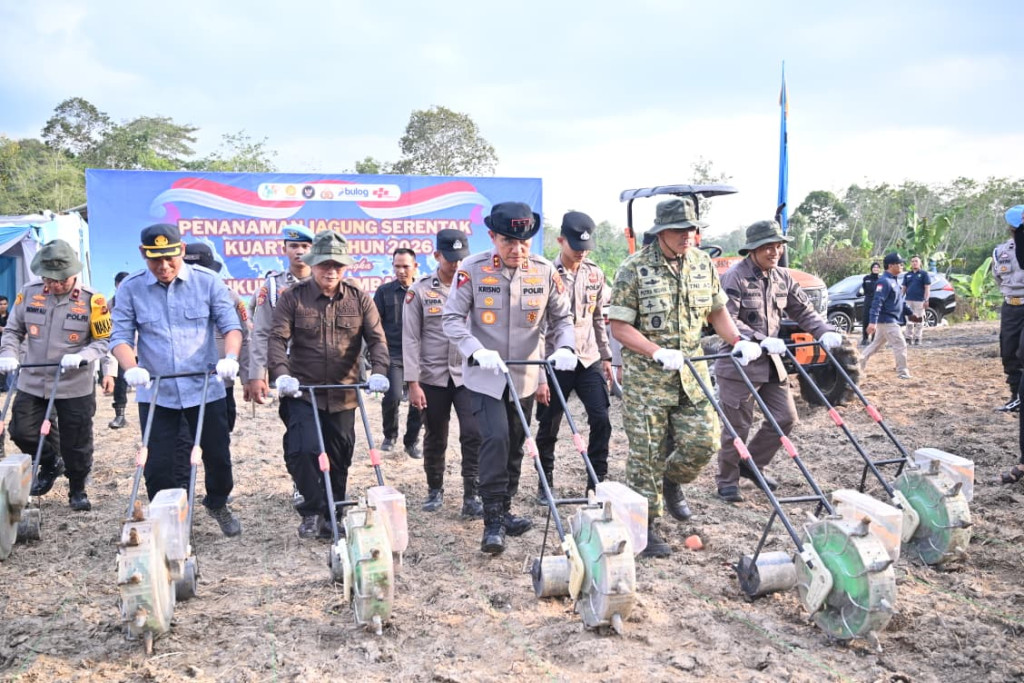 Polda Jambi Tanam Jagung Raya Serentak, Dukung Ketahanan Pangan Nasional