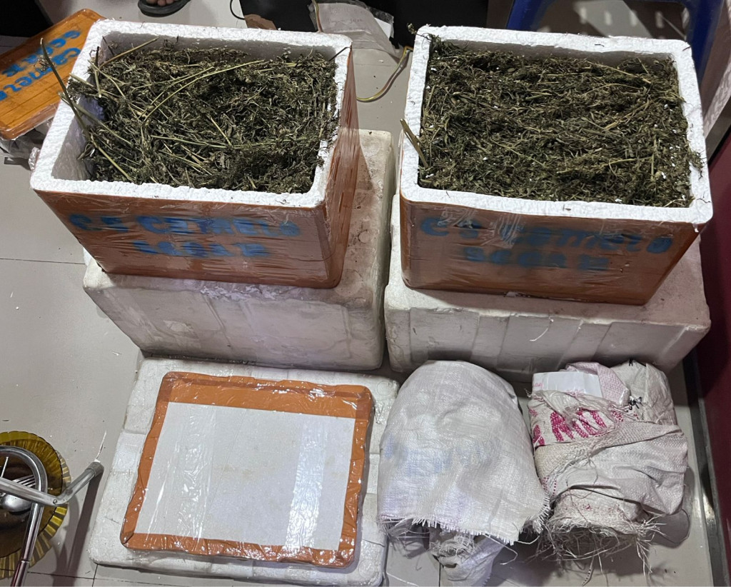 Sikat Habis Pengedar! Polres Labusel Gagalkan Penyelundupan 13,7 Kg Ganja di Kota Pinang