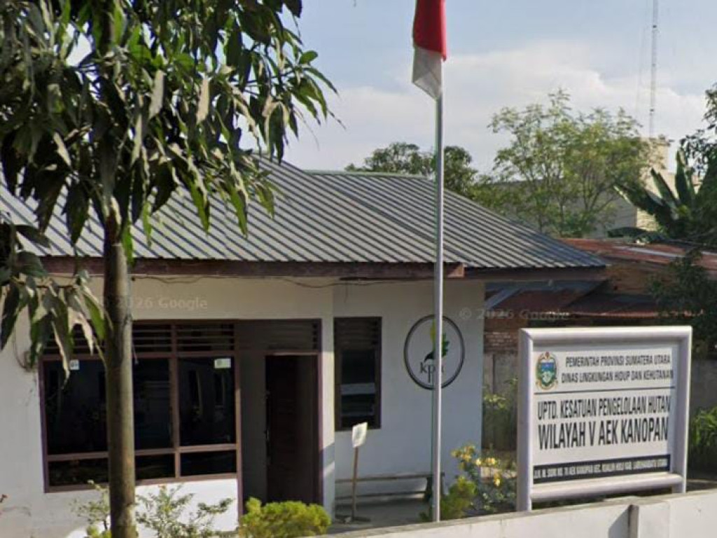 SKANDAL KAYU ILEGAL: Polres Labuhanbatu 'Seret' Saksi Ahli, KPH V Aek Kanopan Berdalih Anggaran Seret!