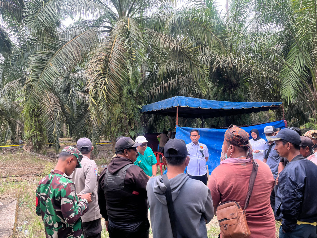 Temukan Kejanggalan, Polres Labusel Ekshumasi Jenazah IRT yang Diduga Korban Pembunuhan