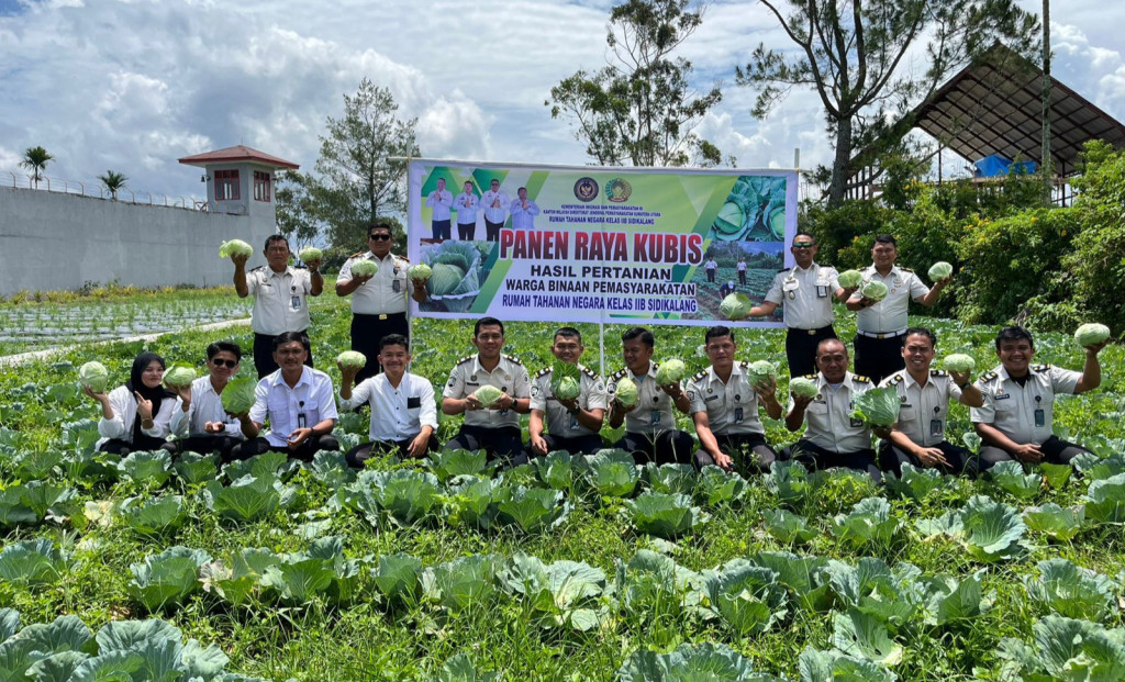 Wujudkan Ketahanan Pangan, Rutan Sidikalang Panen Raya Kubis Tahun 2026