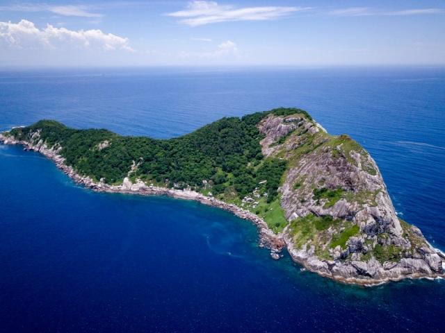 Dihuni Banyak Ular Beracun Ini Pulau Paling Berbahaya Di Dunia