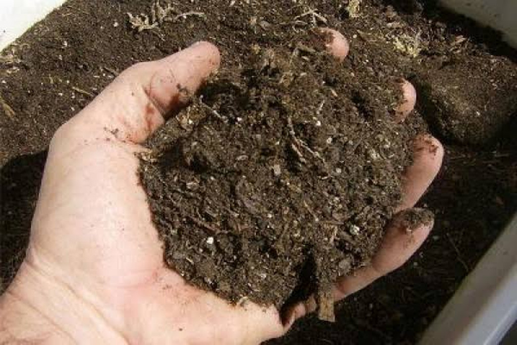 Kementan Dorong Petani di Sumbar Manfaatkan Pupuk Organik