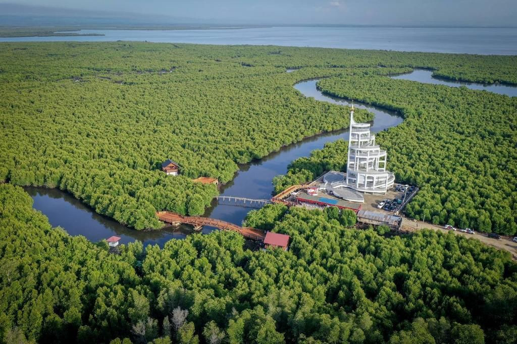 Mengenal Tower Mangrove Forest Park Langsa, Ikon Pariwisata Baru di Aceh
