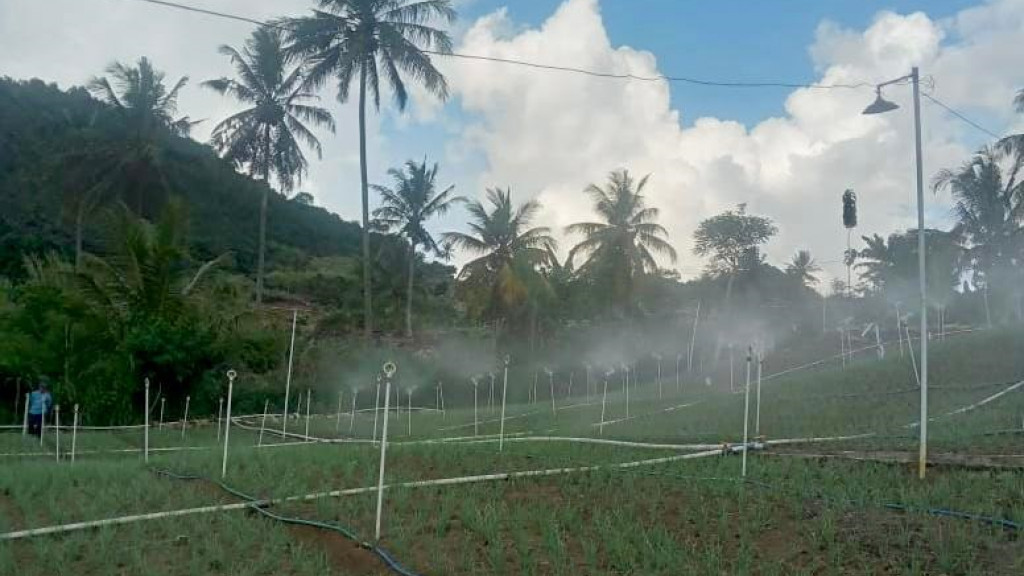 Electrifying Agriculture PLN Tekan Biaya Operasional Petani Bawang di Enrekang Hingga 75 Persen